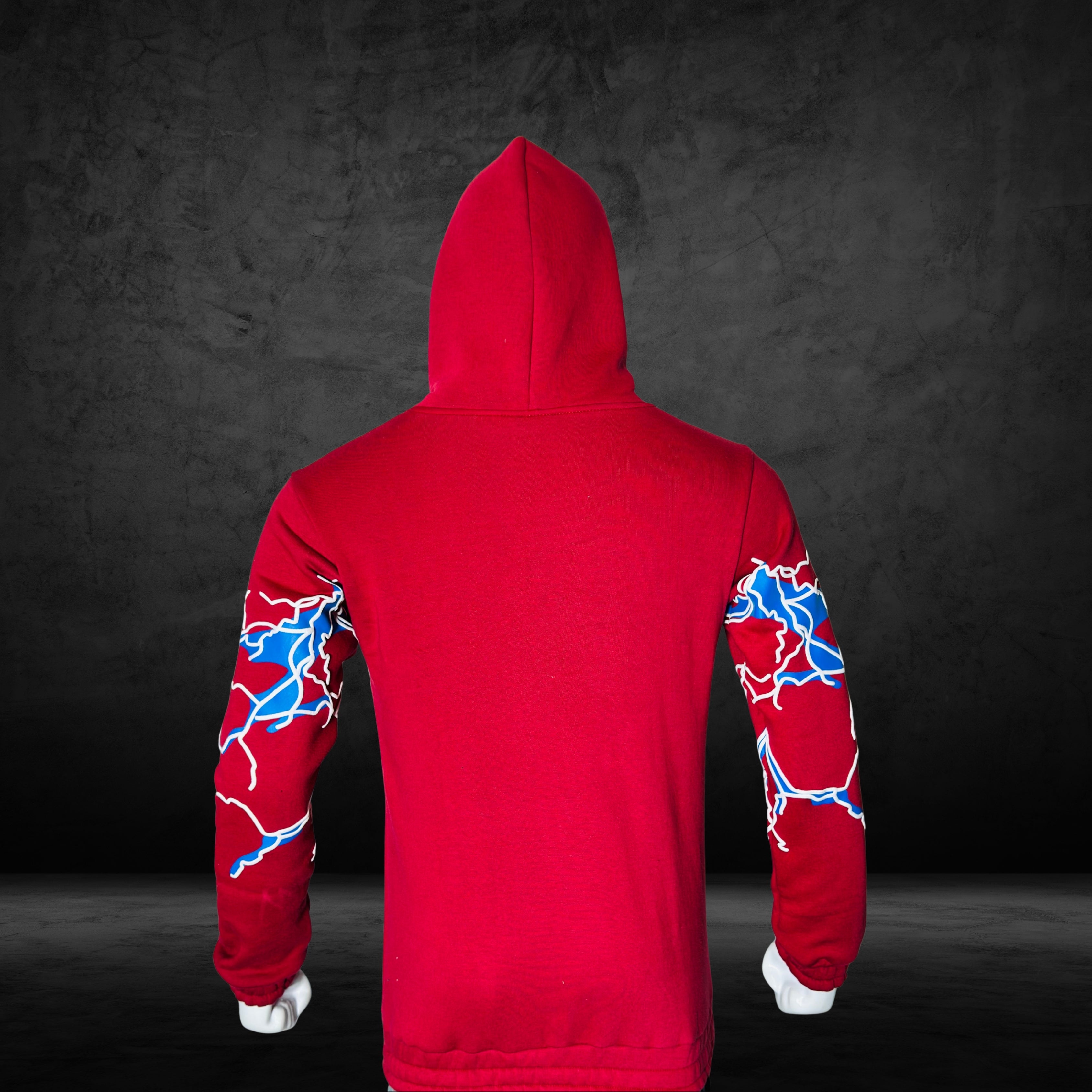 Puff Print Spider Hoodie