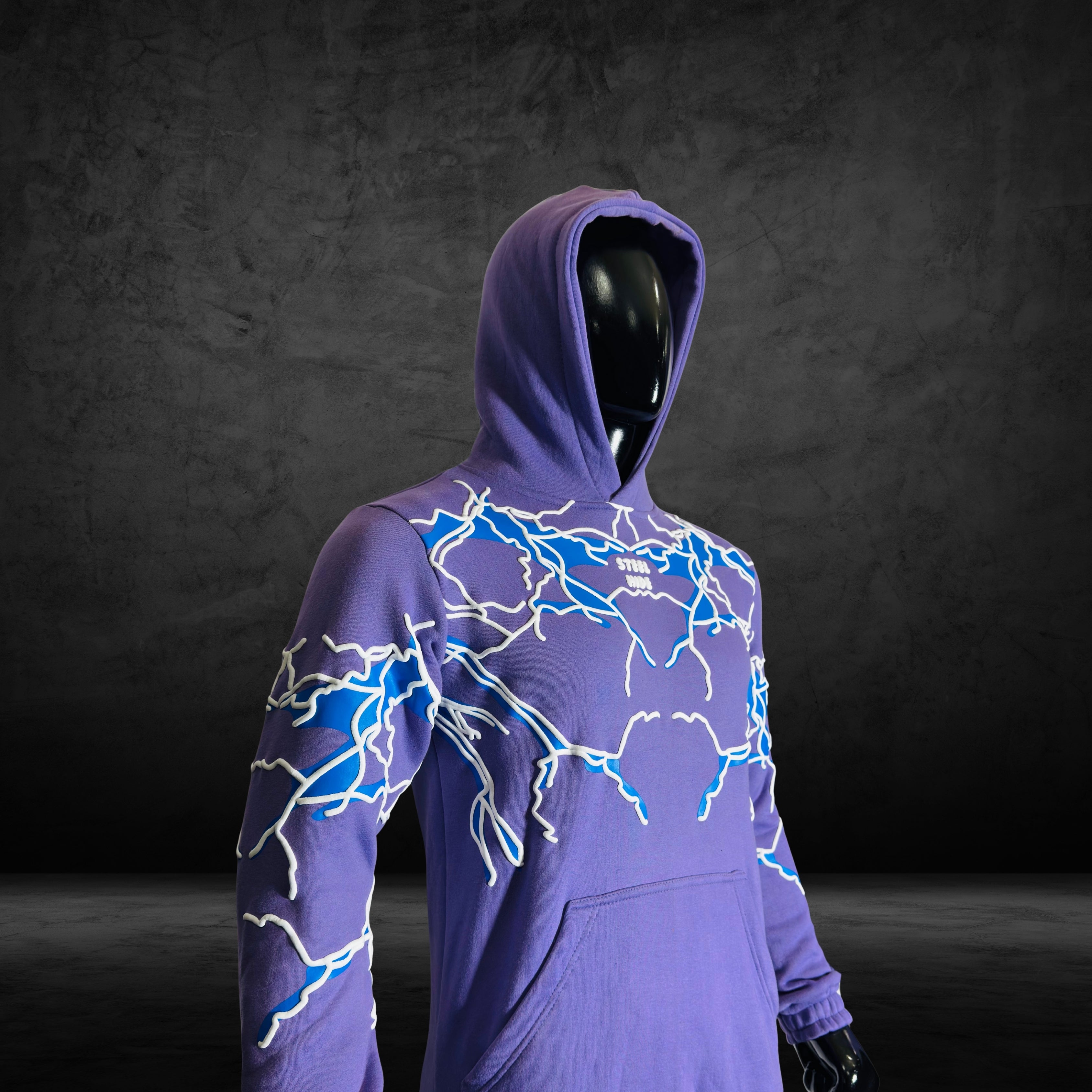 Puff Print Spider Hoodie